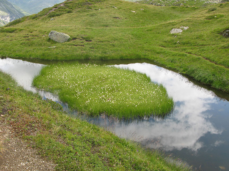 gletscherlehrpfad